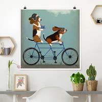 Bilderwelten Poster Tiere - Quadrat Radtour - Bassets Tandem