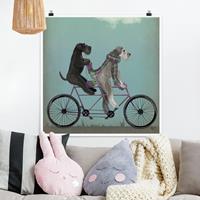 Bilderwelten Poster Tiere - Quadrat Radtour - Schnauzer Tandem