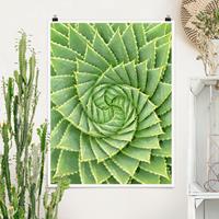 Bilderwelten Poster Blumen - Hochformat Spiral Aloe