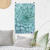 Bilderwelten Poster Blumen - Hochformat Kaktus Agave