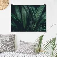 Bilderwelten Poster Blumen - Querformat Grüne Palmenblätter