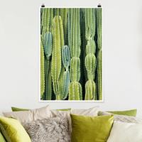 Bilderwelten Poster - Hochformat Kaktus Wand