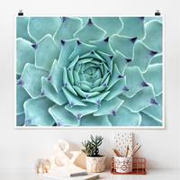 Bilderwelten Poster Blumen - Querformat Kaktus Agave