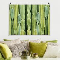Bilderwelten Poster - Querformat Kaktus Wand