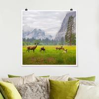 Bilderwelten Poster Tiere - Quadrat Rehe in den Bergen
