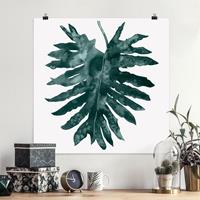 Bilderwelten Poster Blumen - Quadrat Smaragdgrüner Philodendron Bipinnatifidum