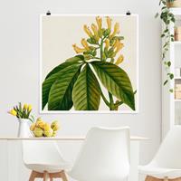 Bilderwelten Poster Blumen - Quadrat Tableau Blatt Blüte Frucht VI