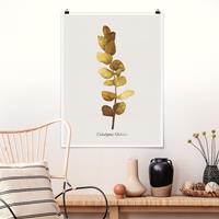 Bilderwelten Poster Blumen - Hochformat Gold - Eukalyptus