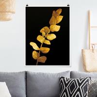 Bilderwelten Poster Blumen - Hochformat Gold - Eukalyptus auf Schwarz