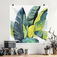 Bilderwelten Poster Blumen - Quadrat Tropisches Blattwerk - Banane