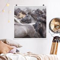 Bilderwelten Poster Tiere - Quadrat Wildpferde