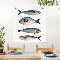 Bilderwelten Poster Blumen - Quadrat Vier Fische in Aquarell II