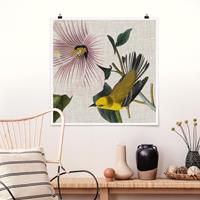 Bilderwelten Poster Blumen - Quadrat Vogel auf Leinen Gelb I