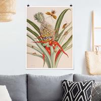 Bilderwelten Poster Anna Maria Sibylla Merian - Ananas mit Insekten