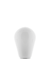 LEDR Outdoor Patio Edison Bulb - White