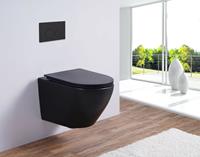 Saniclear Jama rimfree hangend toilet met flatline softclose zitting 48,5 mat zwart
