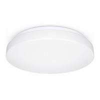 Steinel RS PRO P1 #069698 - Ceiling-/wall luminaire RS PRO P1 069698
