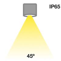 The Light Group SLC MiniOne Fixed LED-Downlight IP65 schwarz 927