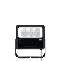 THORN eco Leo Flex LED-Strahler IP66 PC 80W 840