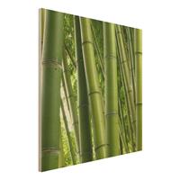 Bilderwelten Holzbild Natur & Landschaft - Quadrat Bamboo Trees No.1