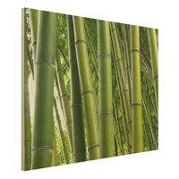 Bilderwelten Holzbild Natur & Landschaft - Querformat 4:3 Bamboo Trees No.1