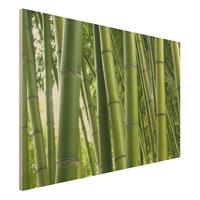 Bilderwelten Holzbild Natur & Landschaft - Querformat 3:2 Bamboo Trees No.1