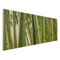 Bilderwelten Holzbild Natur & Landschaft - Panorama Bamboo Trees No.1