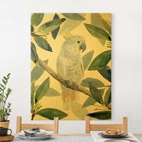 Bilderwelten Leinwandbild Gold Tropischer Kakadu II