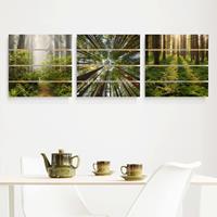 Bilderwelten 3-teiliges Holzbild Plankenoptik Natur & Landschaft - Quadrat Wald Trio