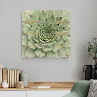 Bilderwelten Holzbild Plankenoptik Blumen - Quadrat Steinrose Jovibarba Hirta