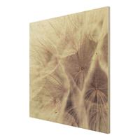 Bilderwelten Holzbild Blumen - Quadrat Detailreiche Pusteblumen Makroaufnahme mit Vintage Blur Effekt