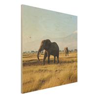 Bilderwelten Holzbild Natur & Landschaft - Quadrat Elefanten vor dem Kilimanjaro in Kenya