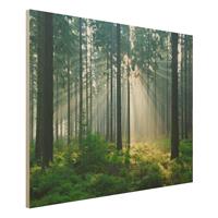 Bilderwelten Holzbild Natur & Landschaft - Querformat 4:3 Enlightened Forest