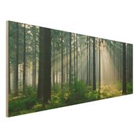 Bilderwelten Holzbild Natur & Landschaft - Panorama Enlightened Forest
