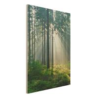 Bilderwelten Holzbild Natur & Landschaft - Hochformat 3:4 Enlightened Forest
