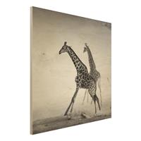 Bilderwelten Holzbild Schwarz-WeiÃŸ - Quadrat Giraffenjagd