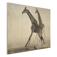 Bilderwelten Holzbild Schwarz-WeiÃŸ - Querformat 4:3 Giraffenjagd