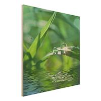 Bilderwelten Holzbild Natur & Landschaft - Quadrat Green Ambiance II