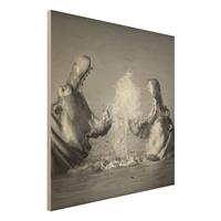Bilderwelten Holzbild Schwarz-WeiÃŸ - Quadrat Hippo Fight
