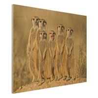 Bilderwelten Holzbild Tiere - Querformat 4:3 Meerkat Family