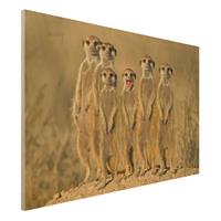 Bilderwelten Holzbild Tiere - Querformat 3:2 Meerkat Family