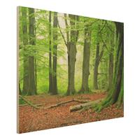 Bilderwelten Holzbild Natur & Landschaft - Querformat 4:3 Mighty Beech Trees