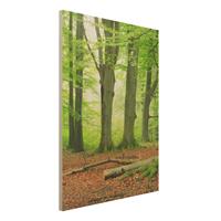 Bilderwelten Holzbild Natur & Landschaft - Hochformat 3:4 Mighty Beech Trees