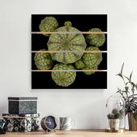 Bilderwelten Holzbild Plankenoptik Blumen - Quadrat Euphorbia - Seeigelwolfsmilch