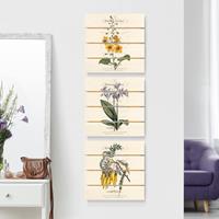 Bilderwelten 3-teiliges Holzbild Plankenoptik Blumen - Quadrat Botanisches Tableau Set I