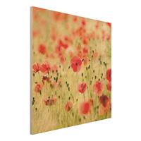 Bilderwelten Holzbild Blumen - Quadrat Summer Poppies