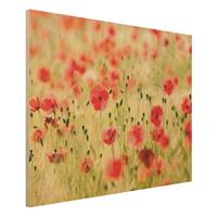 Bilderwelten Holzbild Blumen - Querformat 4:3 Summer Poppies
