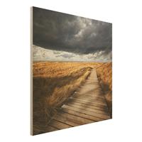 Bilderwelten Holzbild Natur & Landschaft - Quadrat Weg in den DÃ¼nen