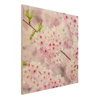 Bilderwelten Holzbild Japanische KirschblÃ¼ten