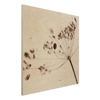 Bilderwelten Holzbild Makroaufnahme Trockenblume im Schatten